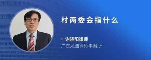 村两委会指什么