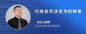 行政处罚决定书的种类