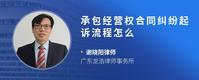 承包经营权合同纠纷起诉流程怎么