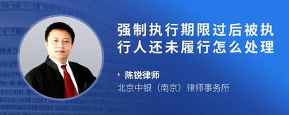 强制执行期限过后被执行人还未履行怎么处理