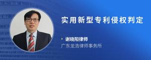 实用新型专利侵权判定