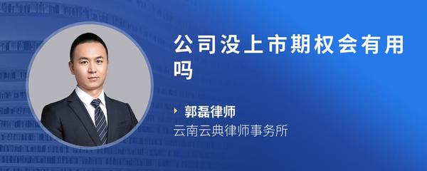 公司没上市期权会有用吗
