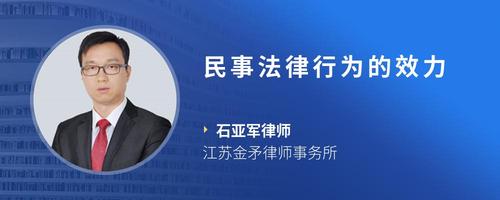 民事法律行为的效力