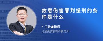 故意伤害罪判缓刑的条件是什么