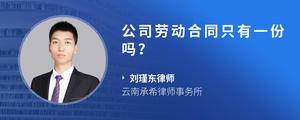 公司劳动合同只有一份吗？?