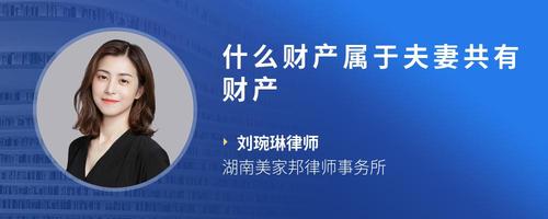 什么财产属于夫妻共有财产