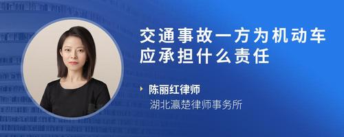 交通事故一方为机动车应承担什么责任