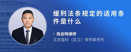缓刑法条规定的适用条件是什么