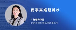 民事离婚起诉状