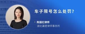 车子限号怎么处罚？