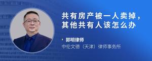 共有房产被一人卖掉，其他共有人该怎么办