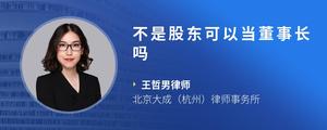 不是股东可以当董事长吗
