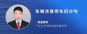 车辆违章停车扣分吗