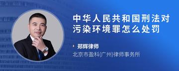 中华人民共和国刑法对污染环境罪怎么处罚