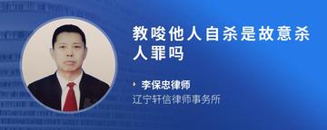 教唆他人自杀是故意杀人罪吗