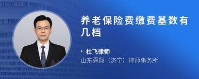 养老保险费缴费基数有几档