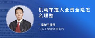 机动车撞人全责全险怎么理赔