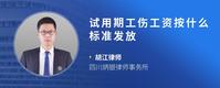 试用期工伤工资按什么标准发放