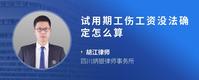 试用期工伤工资没法确定怎么算