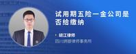 试用期五险一金公司是否给缴纳