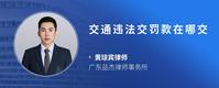 交通违法交罚款在哪交