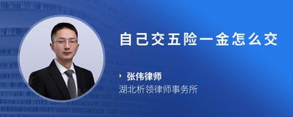 自己交五险一金怎么交
