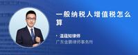 一般纳税人增值税怎么算