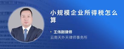 小规模企业所得税怎么算