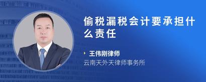 偷税漏税会计要承担什么责任