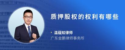 质押股权的权利有哪些