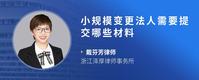 小规模变更法人需要提交哪些材料