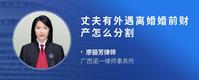 丈夫有外遇离婚婚前财产怎么分割