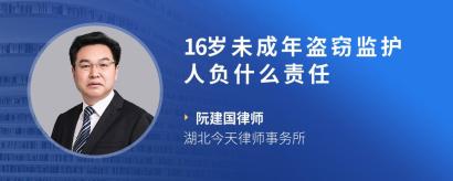 16岁未成年盗窃监护人负什么责任