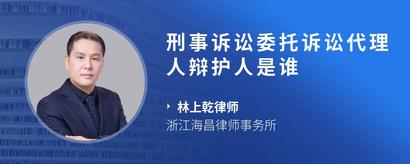 刑事诉讼委托诉讼代理人辩护人是谁