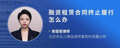 融资租赁合同终止履行怎么办