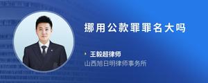 挪用公款罪罪名大吗