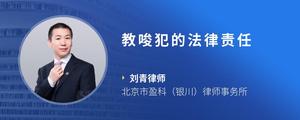教唆犯的法律责任