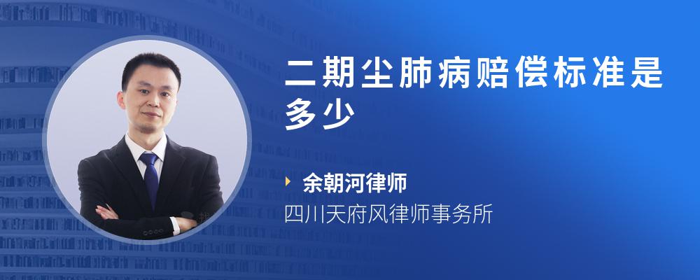 二期尘肺病赔偿标准是多少