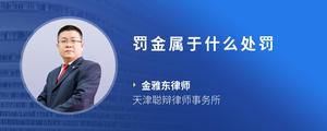 罚金属于什么处罚