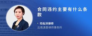 合同违约主要有什么条款