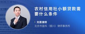 农村信用社小额贷款需要什么条件