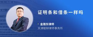 证明条和借条一样吗
