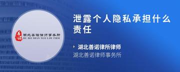 泄露个人隐私承担什么责任