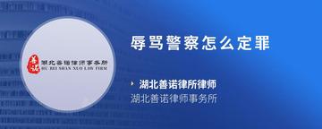 辱骂警察怎么定罪