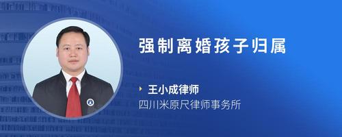 强制离婚孩子归属
