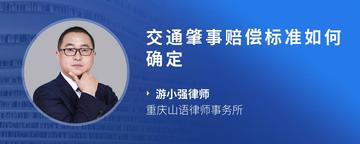 交通肇事赔偿标准如何确定