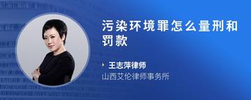 污染环境罪怎么量刑和罚款