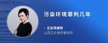 污染环境罪判几年