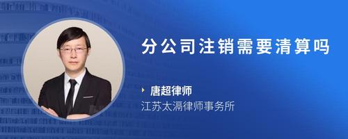 分公司注销需要清算吗
