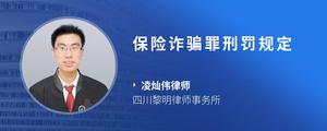 保险诈骗罪刑罚规定
